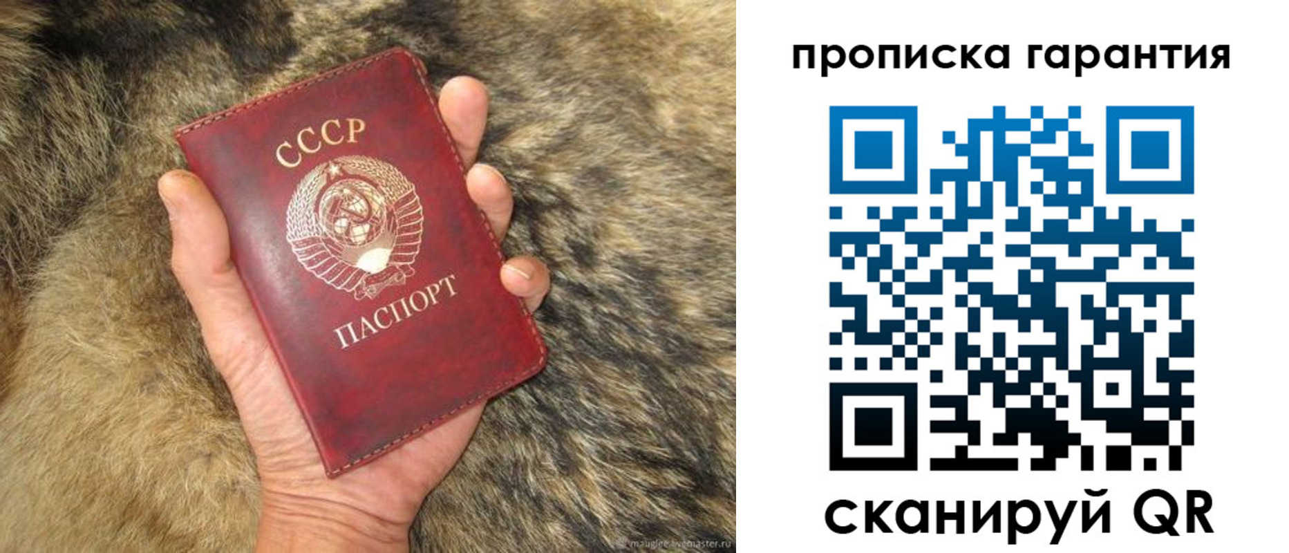 прописка паспорт в Старой Руссе